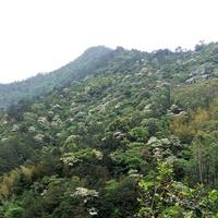 烈酒醉人538头像