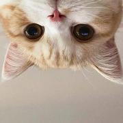 Daisy998的个人资料头像