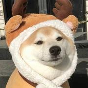 江遇七辰的个人资料头像