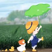 zhaomy536的个人资料头像