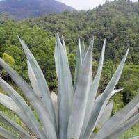 真情人生1117头像