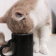 Weiyufangchen的个人资料头像