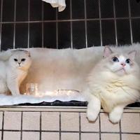 努力努力再努力头像