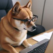 _random_的个人资料头像