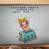 Sutany头像
