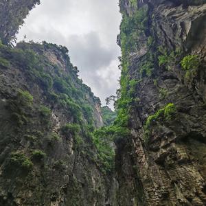 雨辰说娱乐头像