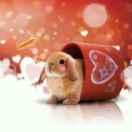 枫林同志59466的个人资料头像