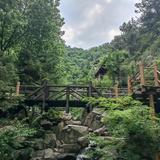 外向明镜W0头像