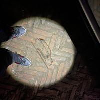 用户3934462000746头像