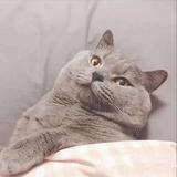 云是白的10头像