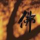 天地可鉴公道自在人心 · 岚图追光 EV车主·车龄1年头像