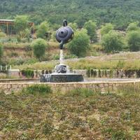 德才兼备梧桐树头像