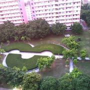 天真小郎君的个人资料头像