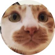 当当当709的个人资料头像