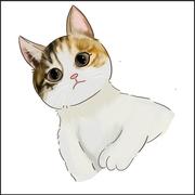 畔畔的个人资料头像