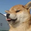 雨过就会天晴呀的个人资料头像