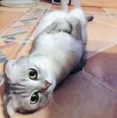 AKIRA78537的个人资料头像