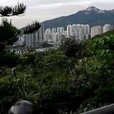 军歌头像
