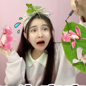 桂圆姐姐头像