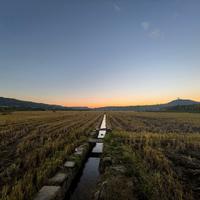 云车新名堂头像