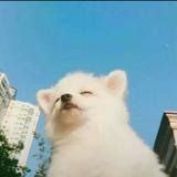 匆匆那年4535头像