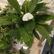 等候167的个人资料头像