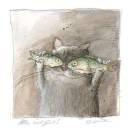 hd的个人资料头像