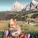 keepursy的个人资料头像