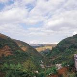 哟吼路特斯头像