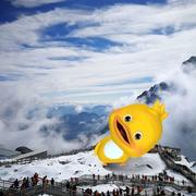 naturally405的个人资料头像