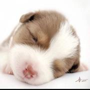 用户1558872638399的个人资料头像