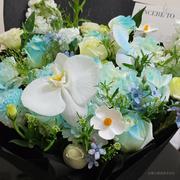 水下迪卢克的个人资料头像