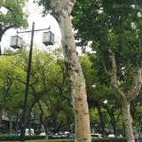用户2496165633237头像