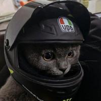 热爱车车小迷弟头像