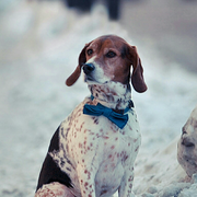 DZ13390的个人资料头像