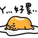 佛顺一家亲头像