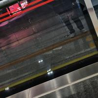 哈哈收到回话头像