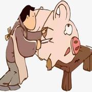 elevenDFY的个人资料头像