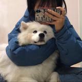 Bi8bo965头像