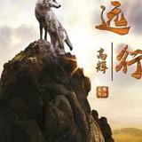 用户2248458368242欲劫无渡头像