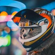 xiaopujun的个人资料头像