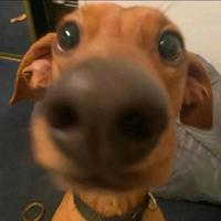 社恐人群保护协会头像