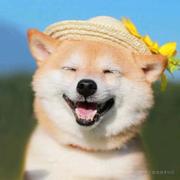 myyjzcltdxz的个人资料头像