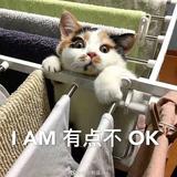 发财的姥姥头像