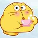 廖猫猫的个人资料头像