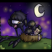 czfshine的个人资料头像