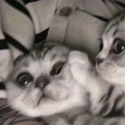 RunningLiLi的个人资料头像