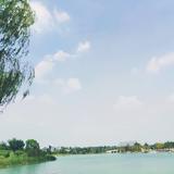 许许许许言午头像