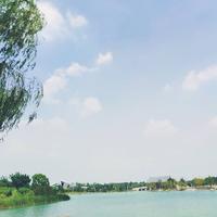 许许许许言午头像