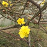 问简居主人的个人资料头像